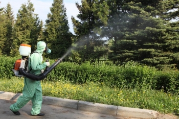 Уничтожение комаров в Ногинске